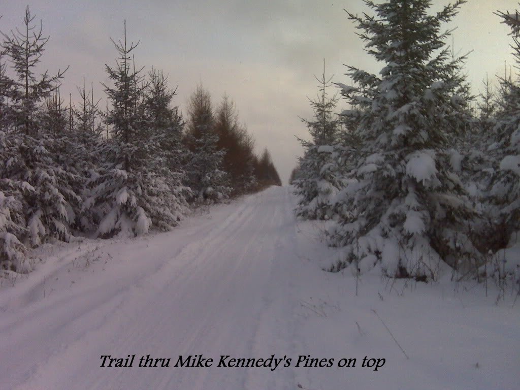 Kennedy Pines Trail